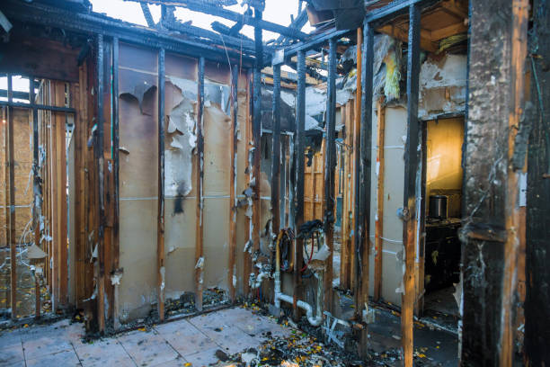 Professional Fire Damage Removal technician working in August, CA